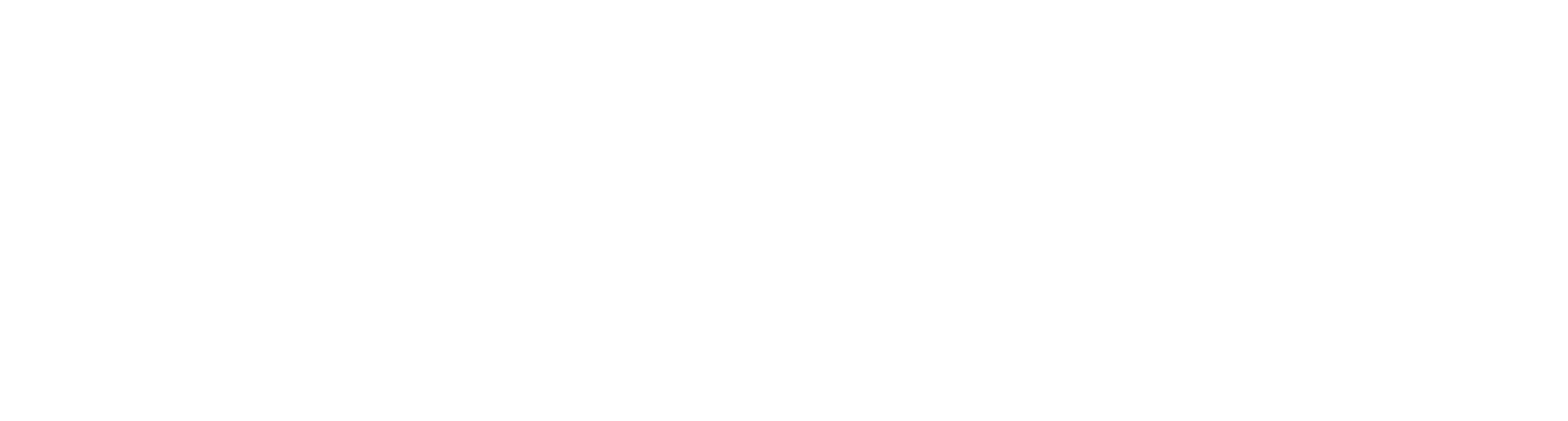 SegData